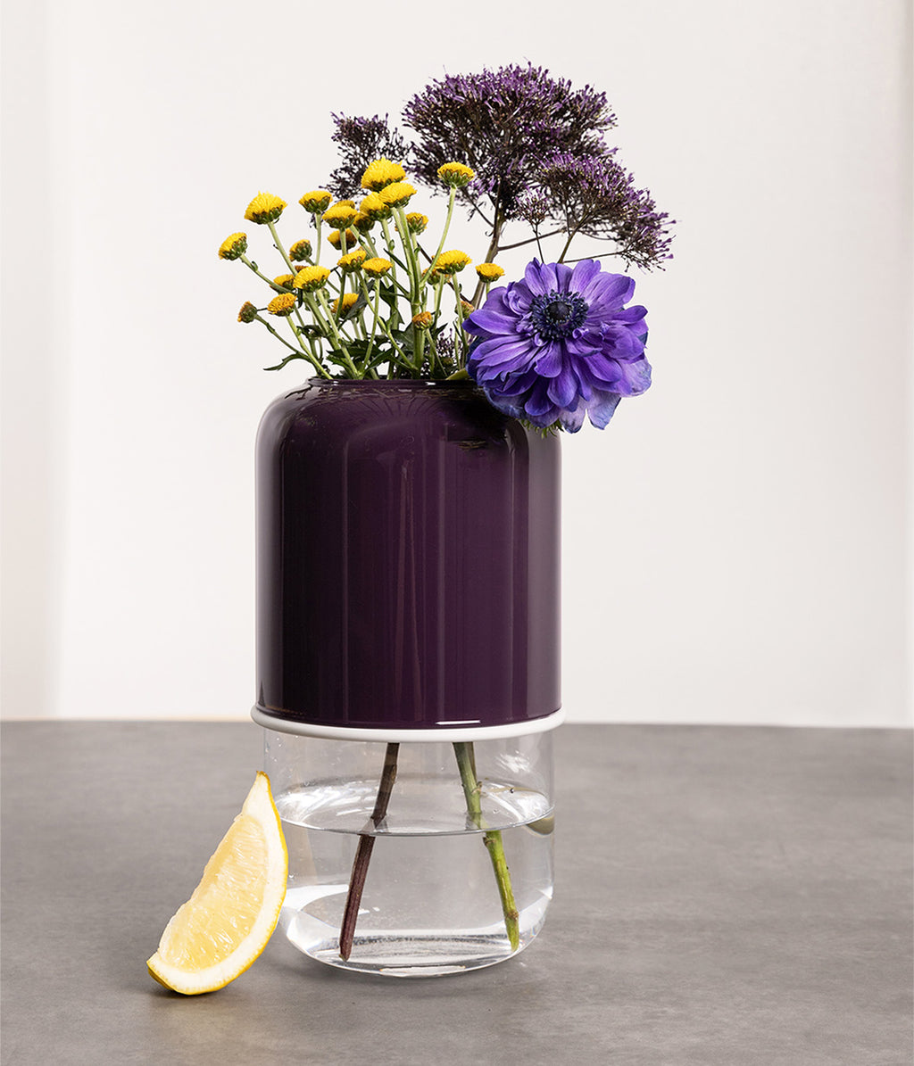Kapseli maljakko purppura/kirkas