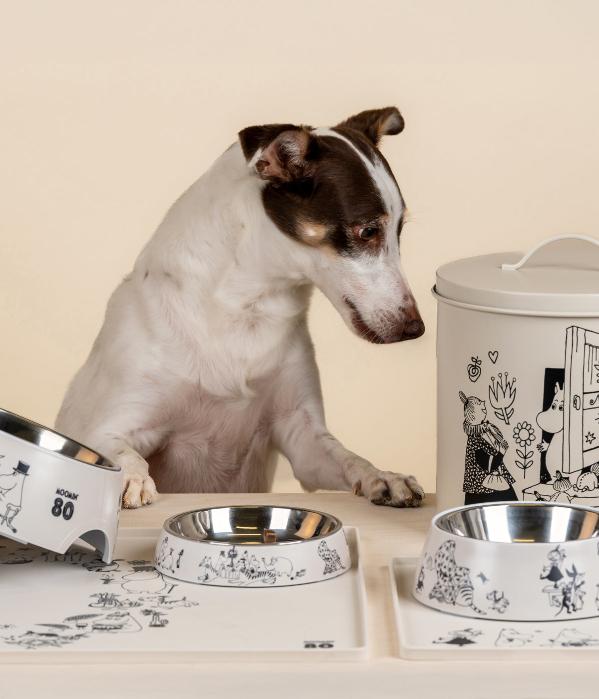 Moomin for Pets kulho Muumi 80 L