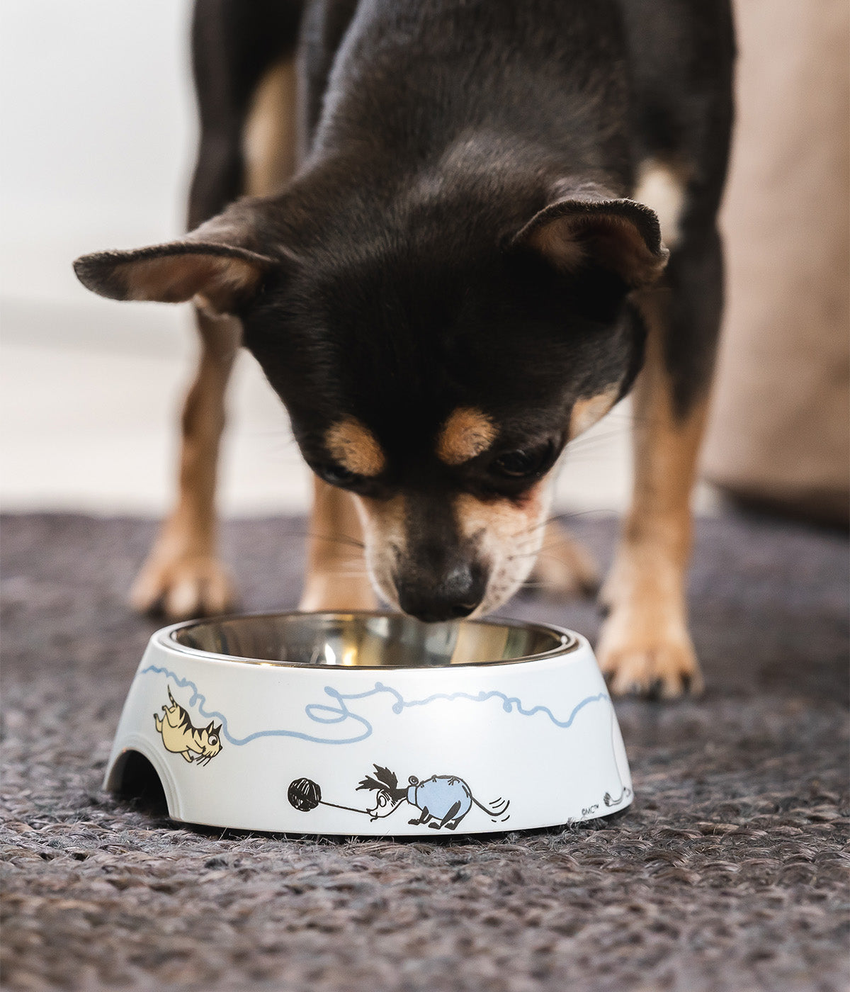 Moomin for Pets kulho S sininen