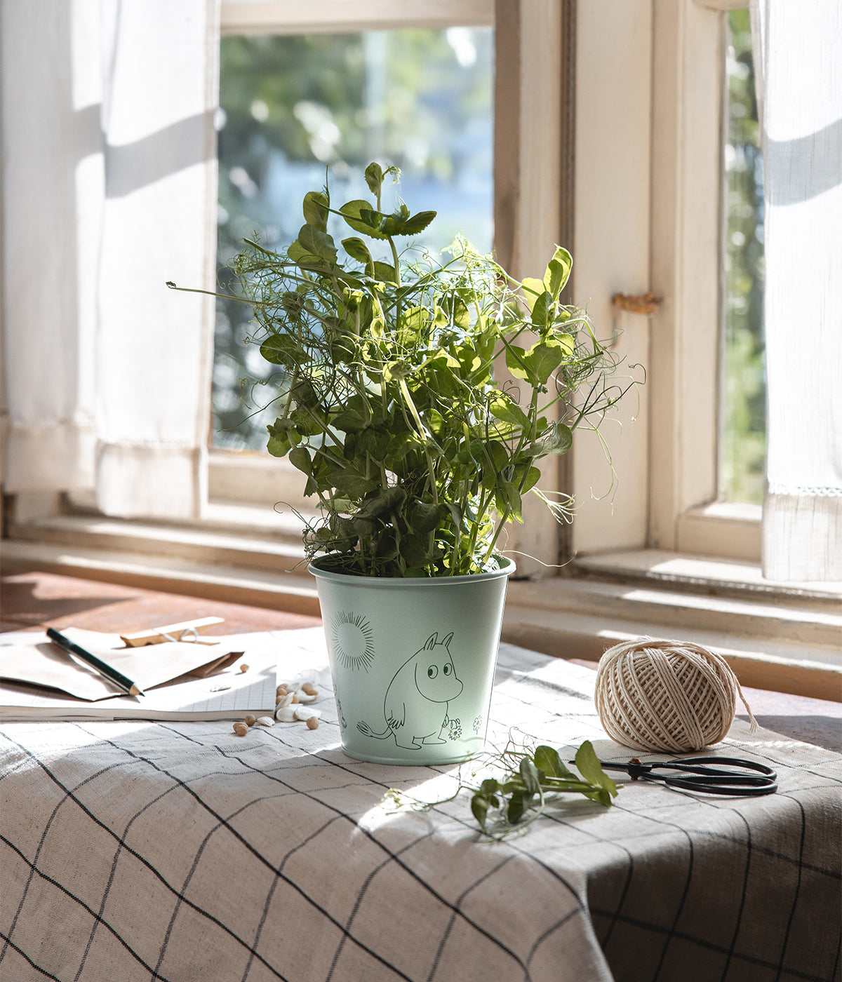 Muumi kukkaruukku Gardenia 11cm