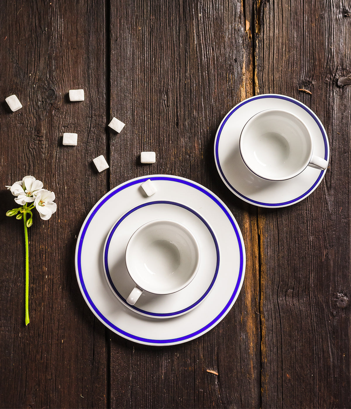 The Cottage of Four Winds coffee cup &amp; saucer