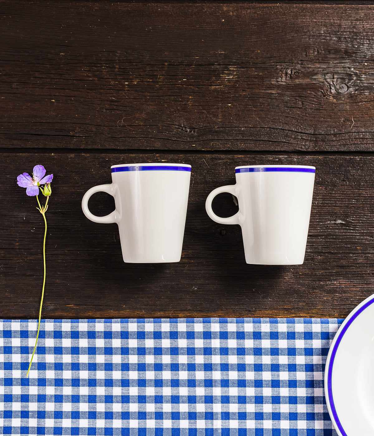 The Cottage of Four Winds porcelain mug 3dl